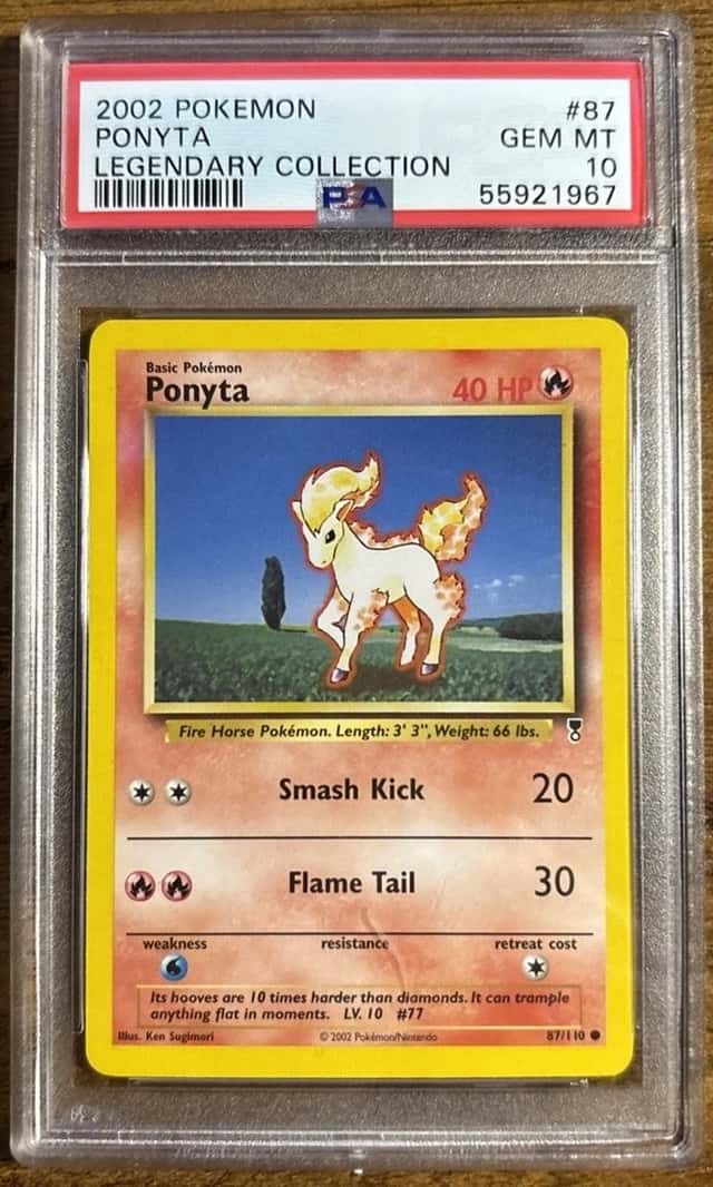 Ponyta