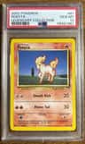 Ponyta