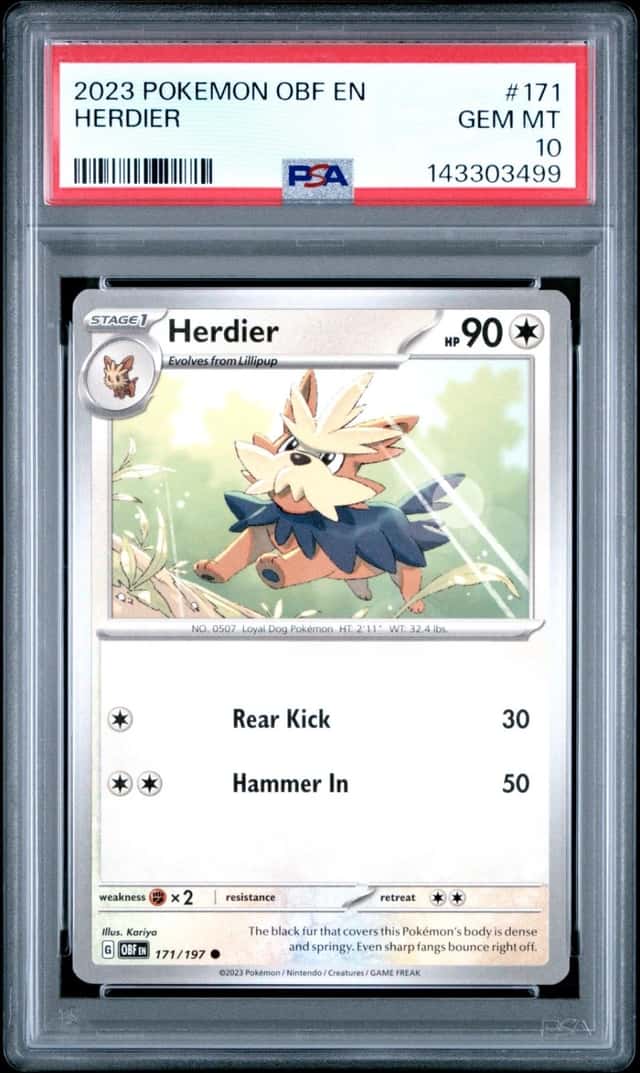 Herdier