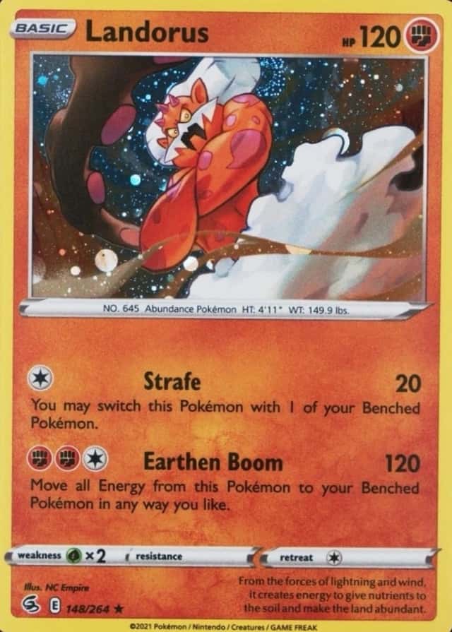 Holo