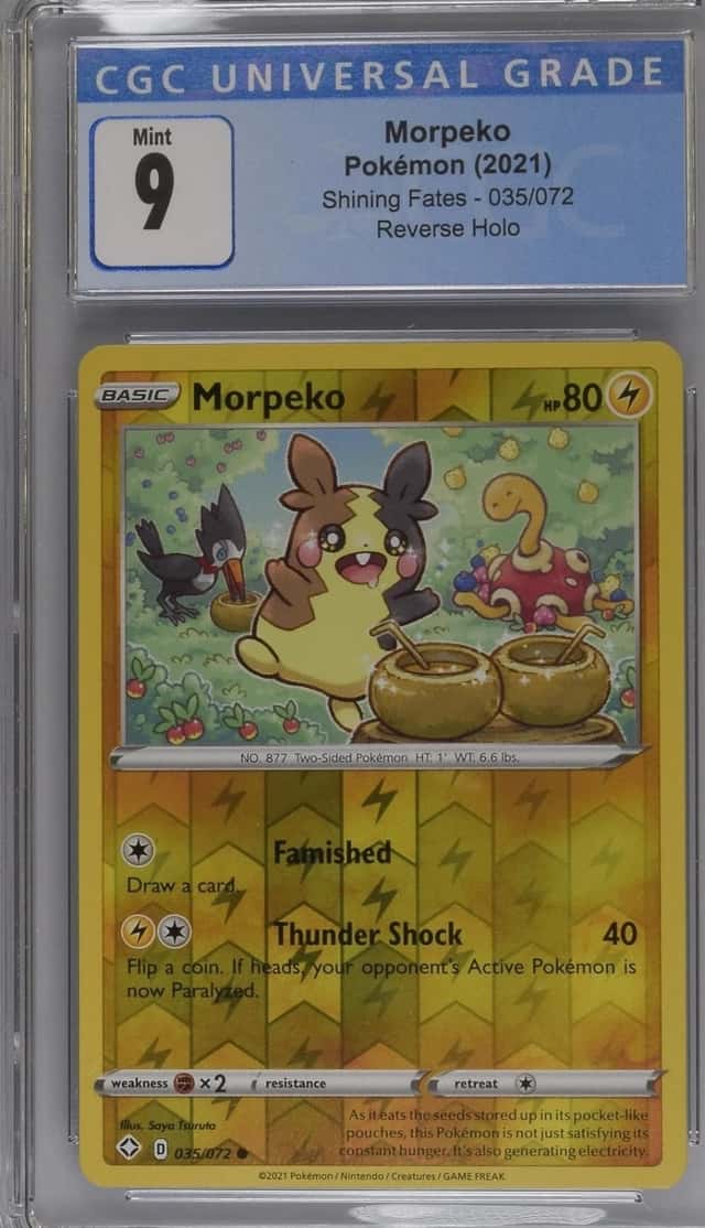 Morpeko