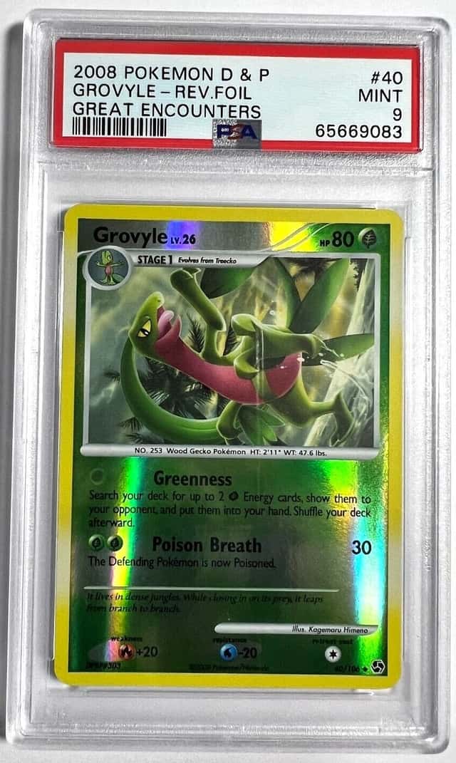Grovyle