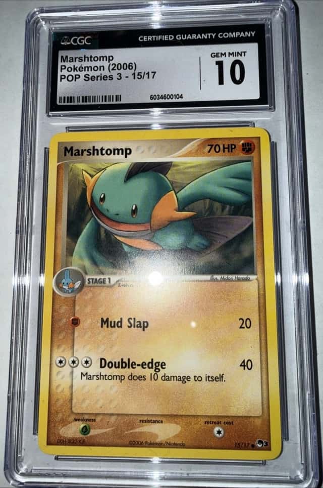 Marshtomp