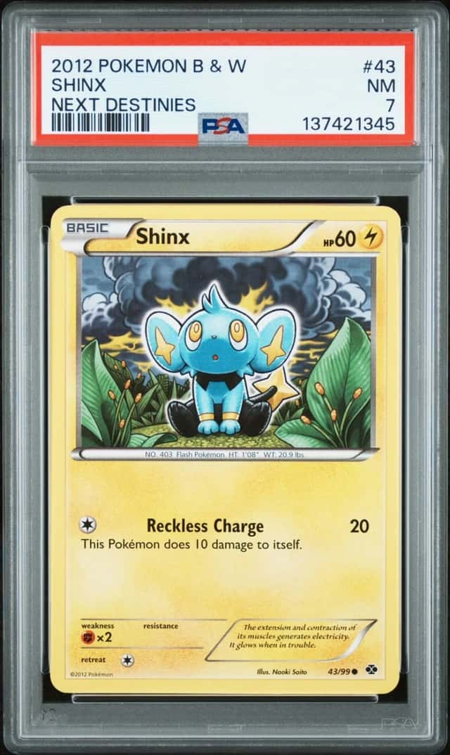 Shinx