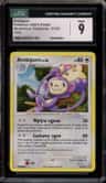 Ambipom