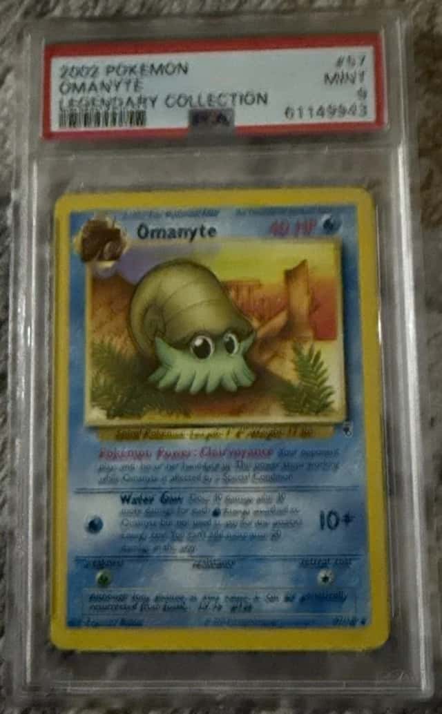 Omanyte