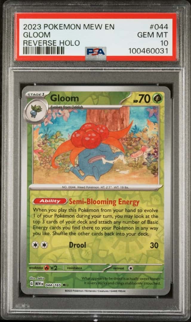 Gloom