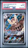 Noctowl