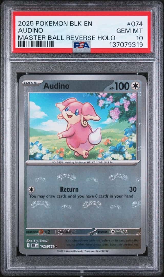 Audino