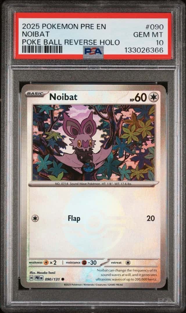 Noibat