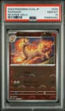Rapidash