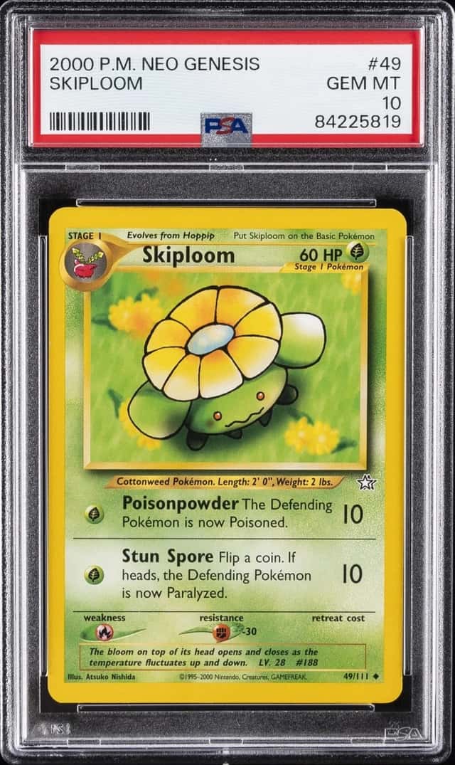 Skiploom