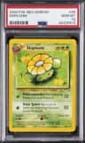 Skiploom