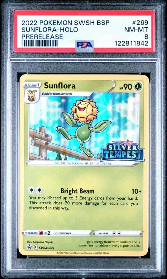 Sunflora