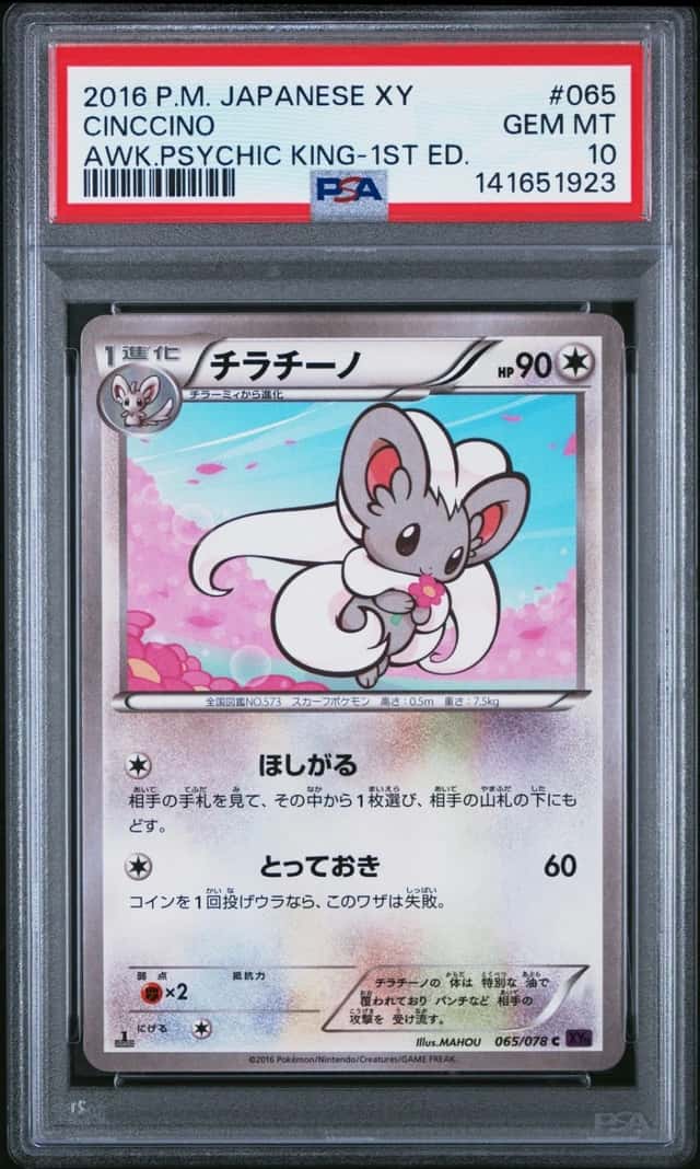 Cinccino