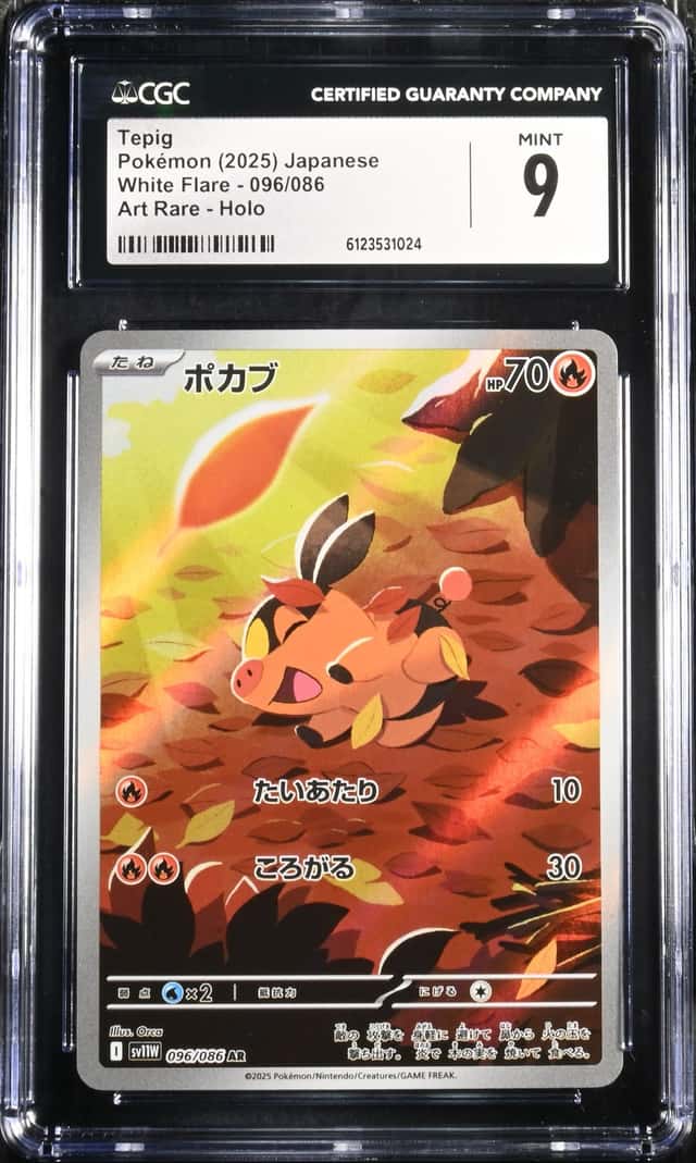 Tepig