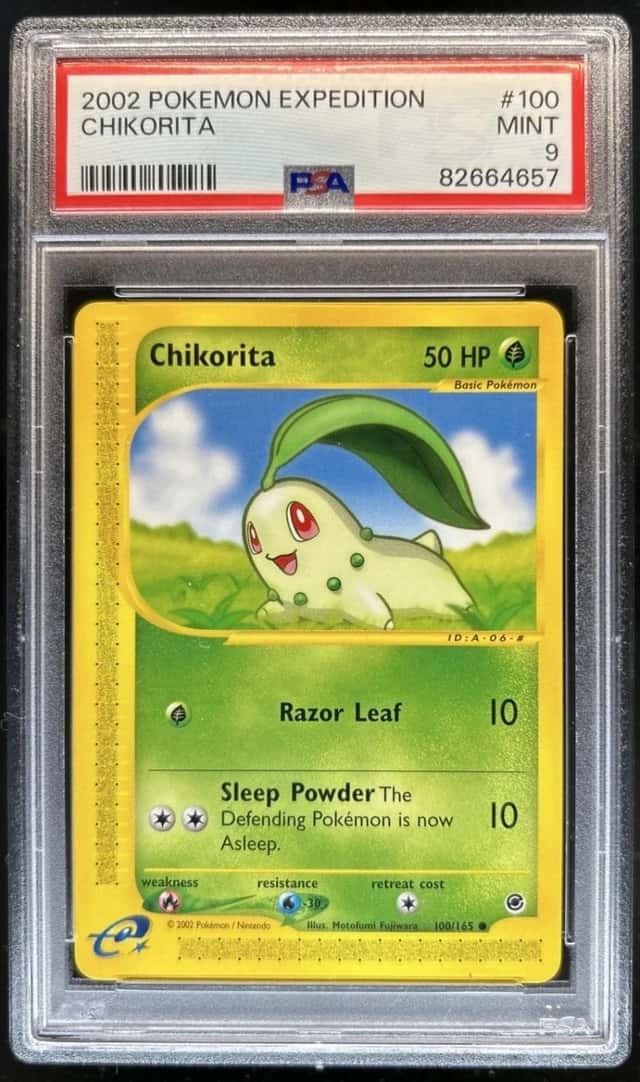 Chikorita