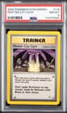 Pewter City Gym