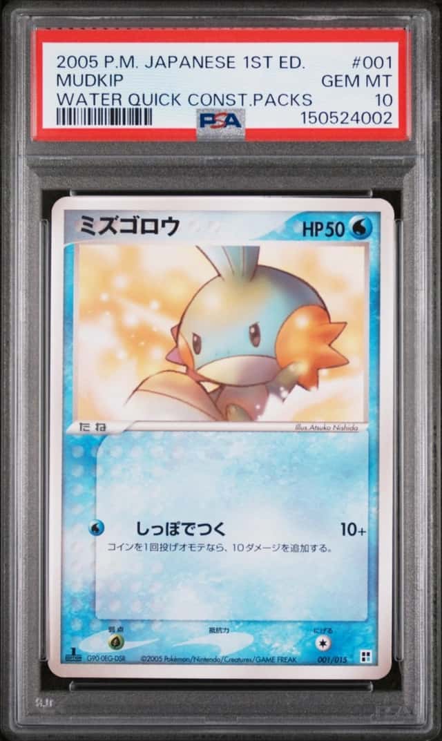 Mudkip