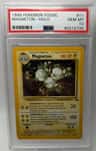Magneton