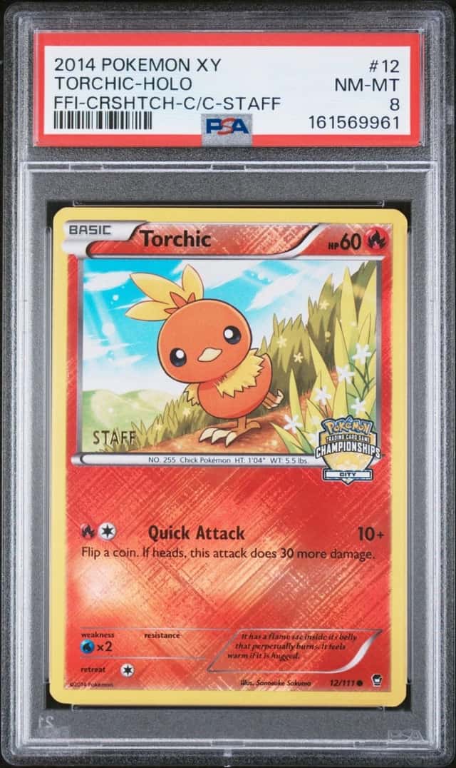 Torchic
