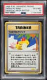 Tropical Wind