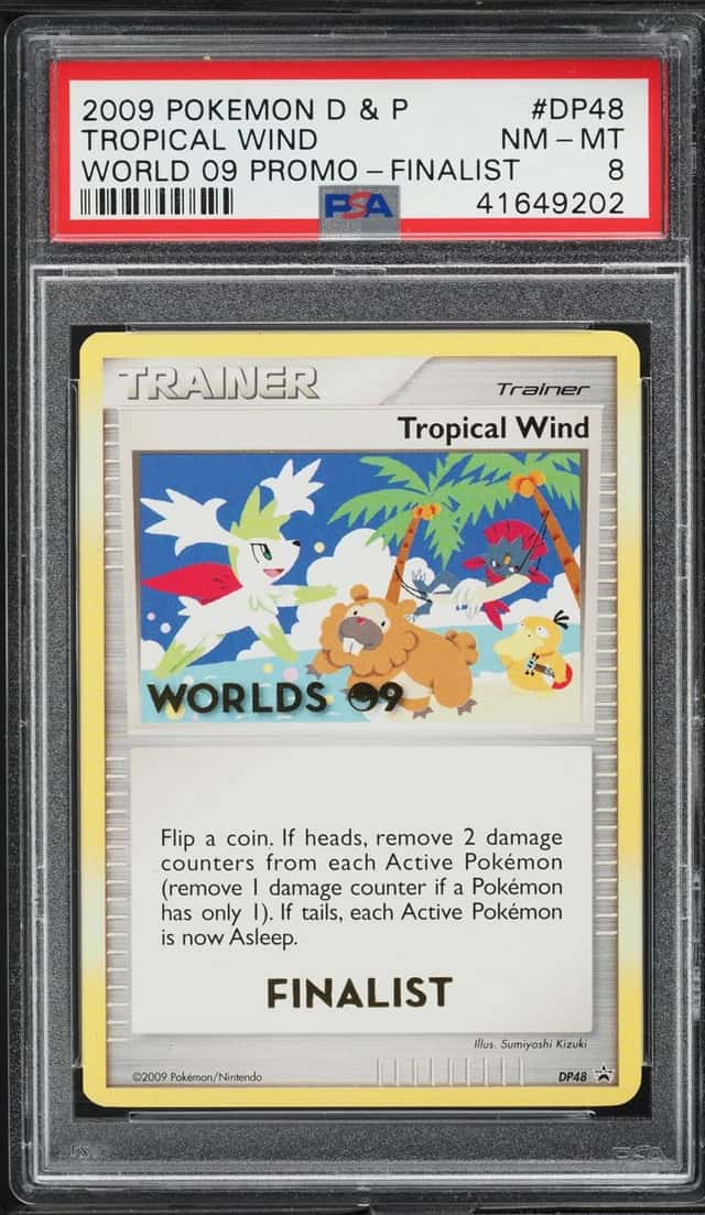 Tropical Wind