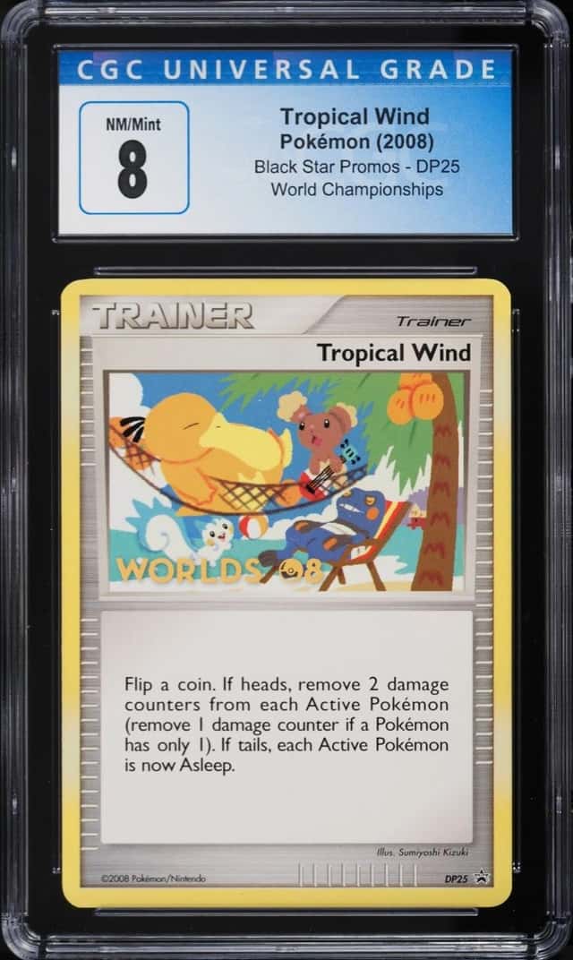 Tropical Wind