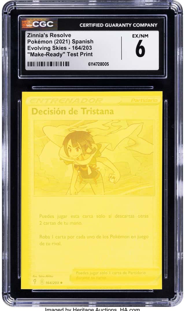 Zinnia's Resolve