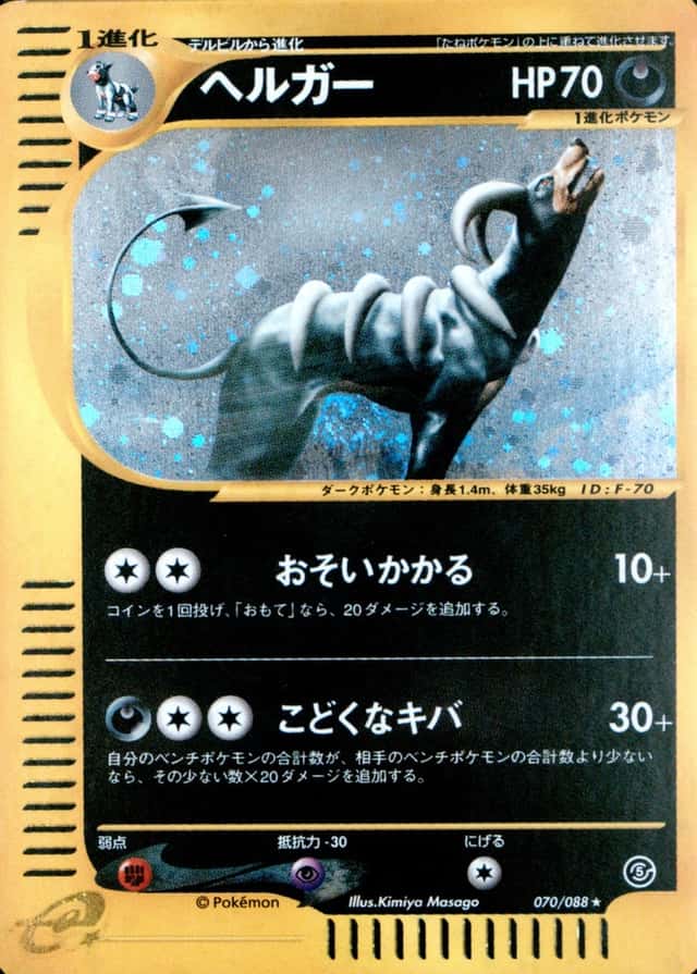Holo
