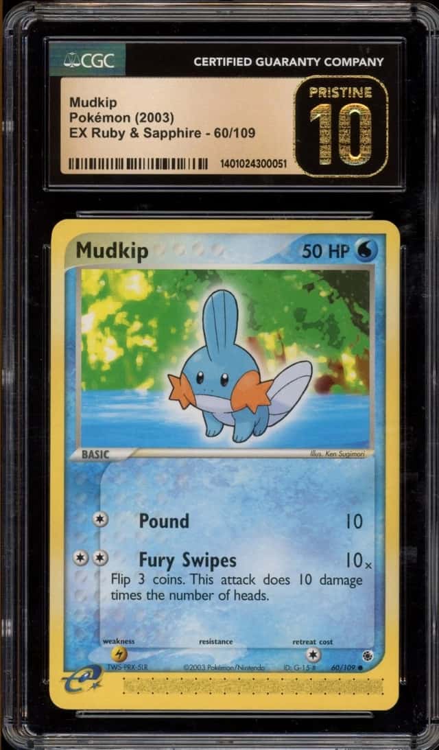 Mudkip