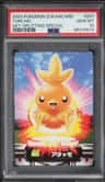 Torchic