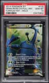 Heracross Ex