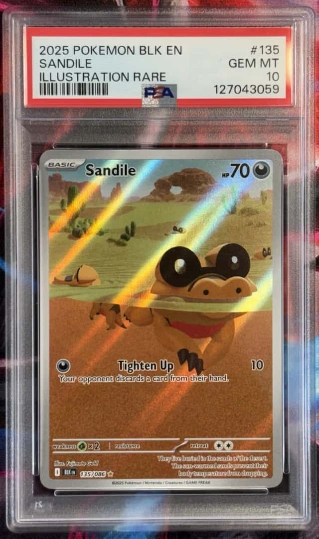 Sandile