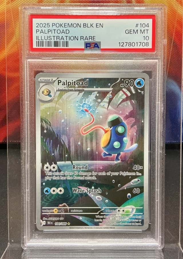 Palpitoad