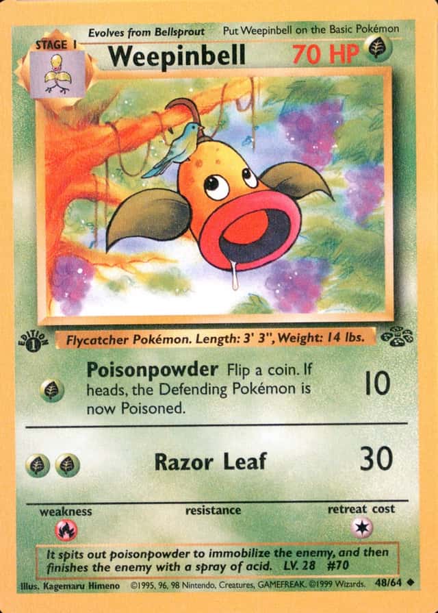 1st Edition