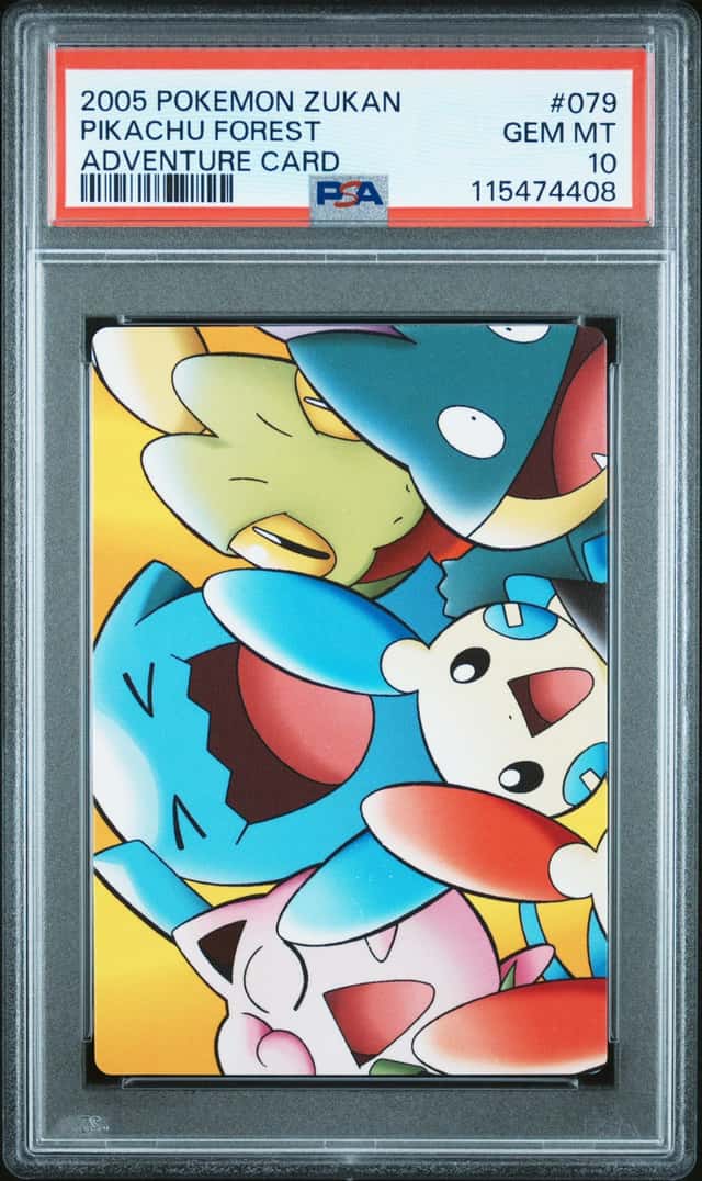Pikachu Forest