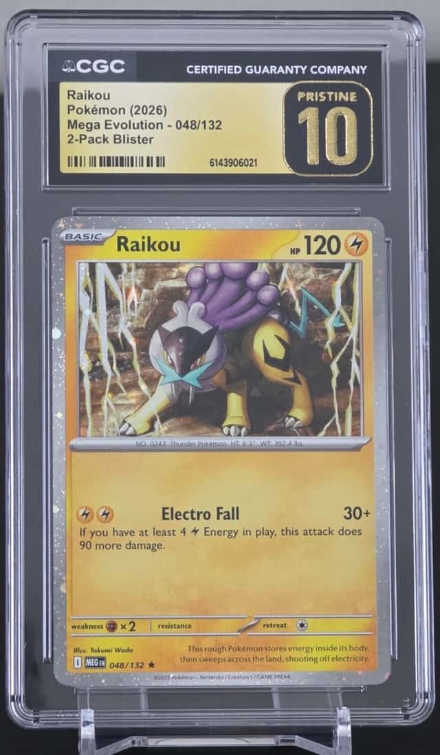 Raikou