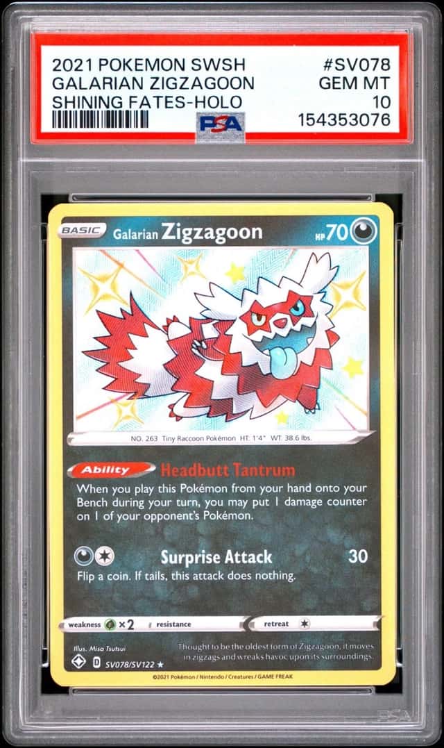 Galarian Zigzagoon