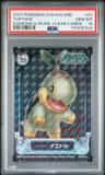 Turtwig