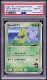 Ash'S Treecko