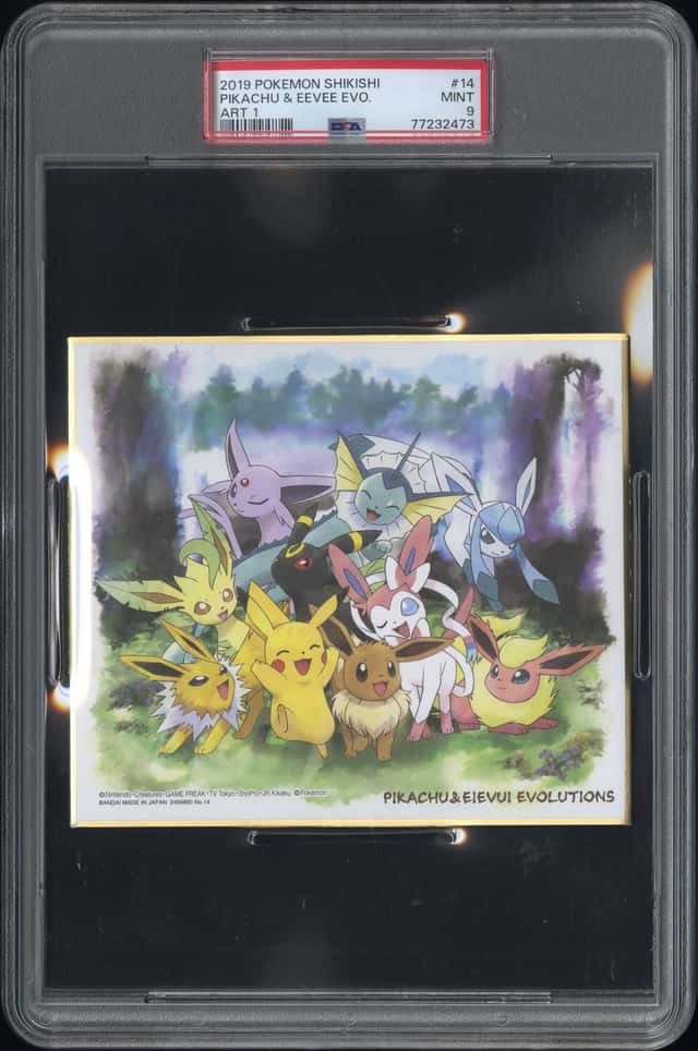 Pikachu & Eevee Evo