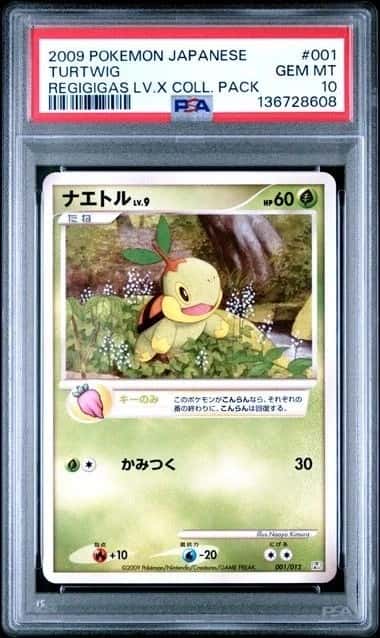 Turtwig