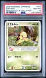 Turtwig