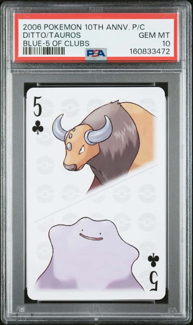 Ditto/Tauros