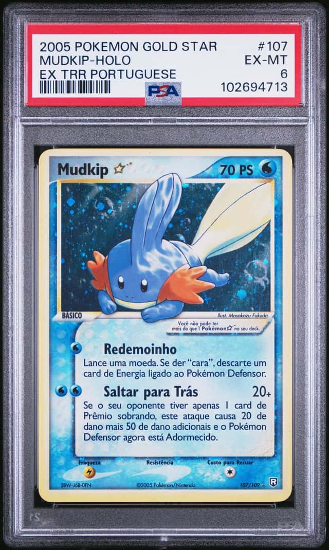 Mudkip