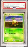 Turtwig