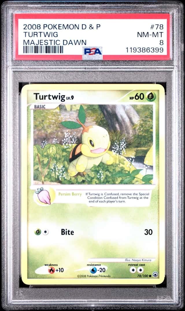 Turtwig