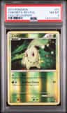 Chikorita