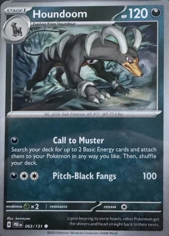 Base / no variant